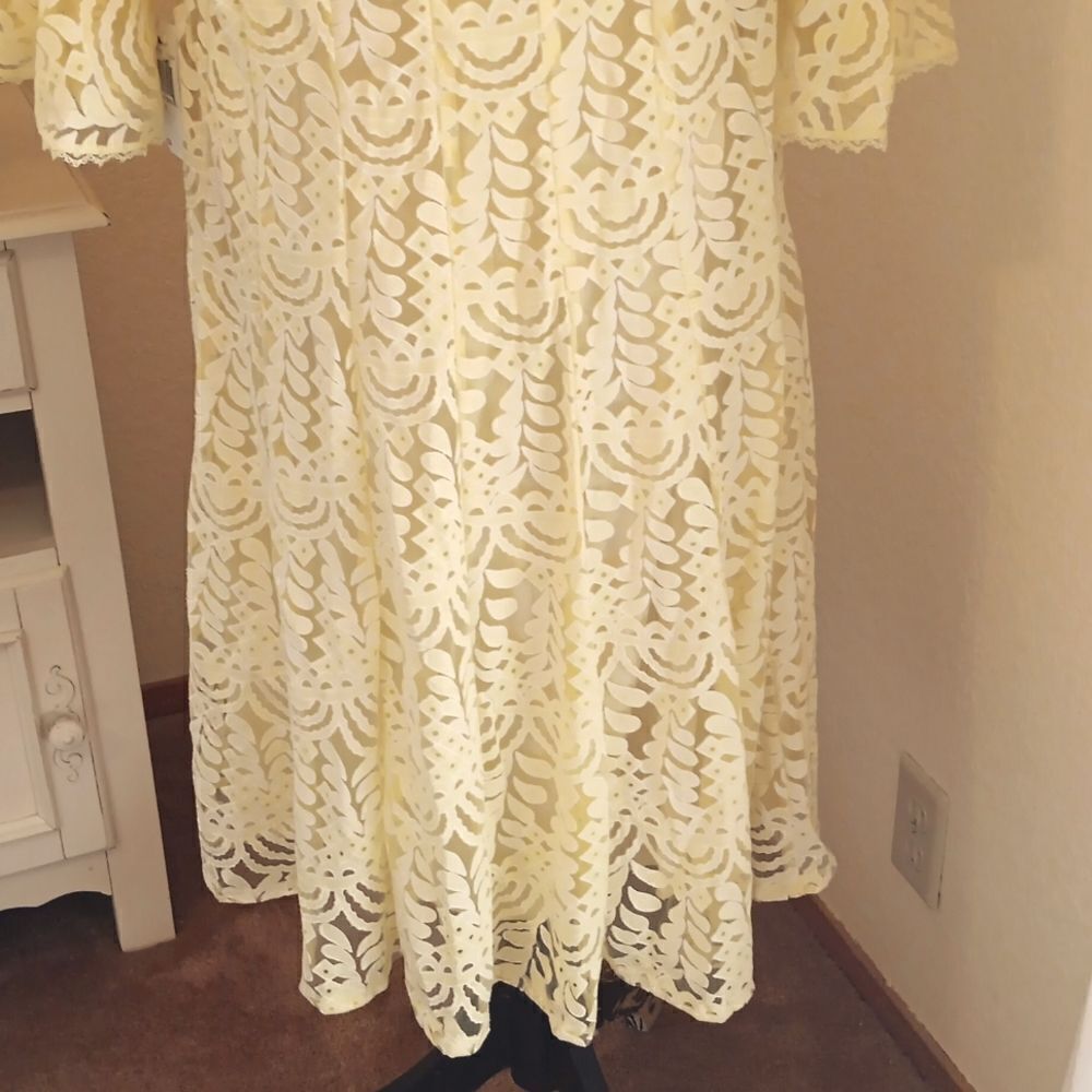 NWT Rabbit Rabbit Rabbit Yellow Lace Dress - Picture 8 of 13